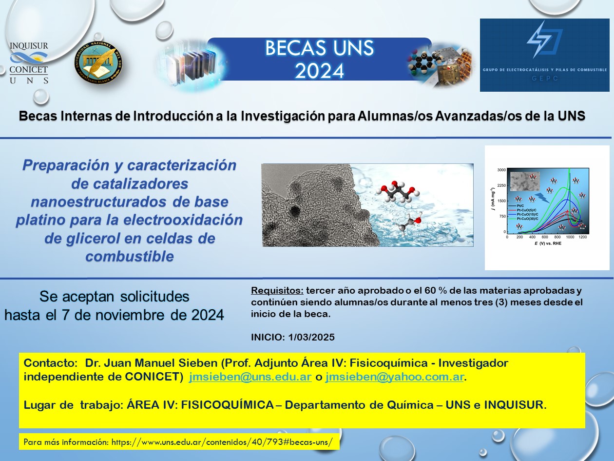 Cartel para beca UNS alumnos 2024