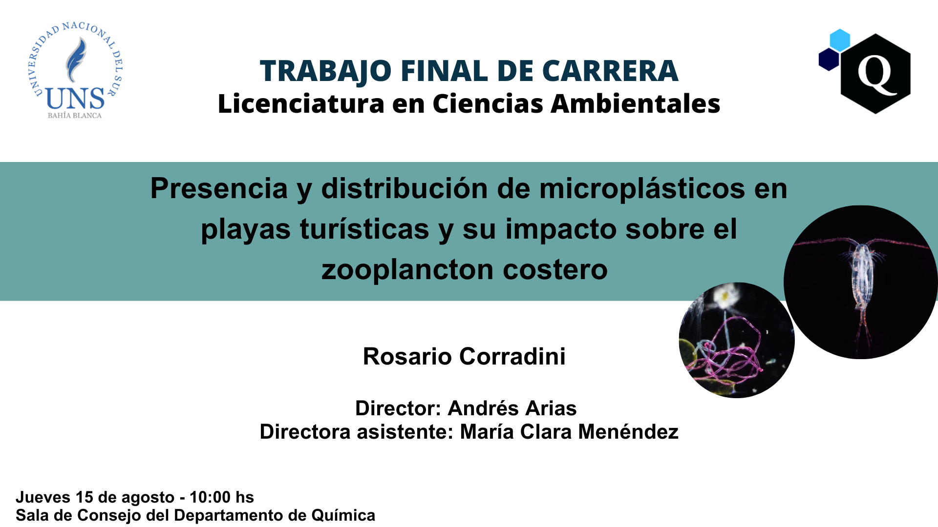 Trabajo final de carrera - Rosario Corradini