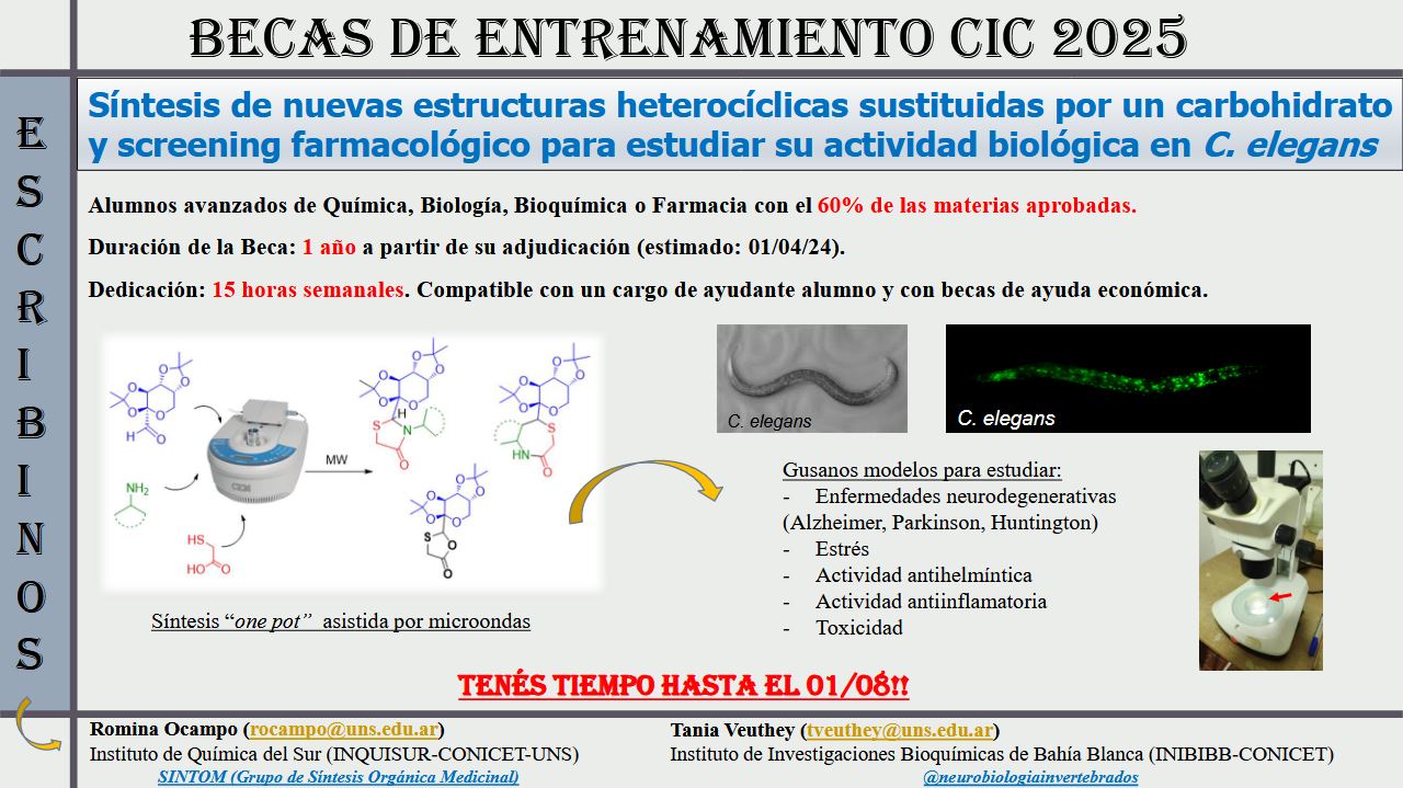 Becas de Entrenamiento CIC 2025